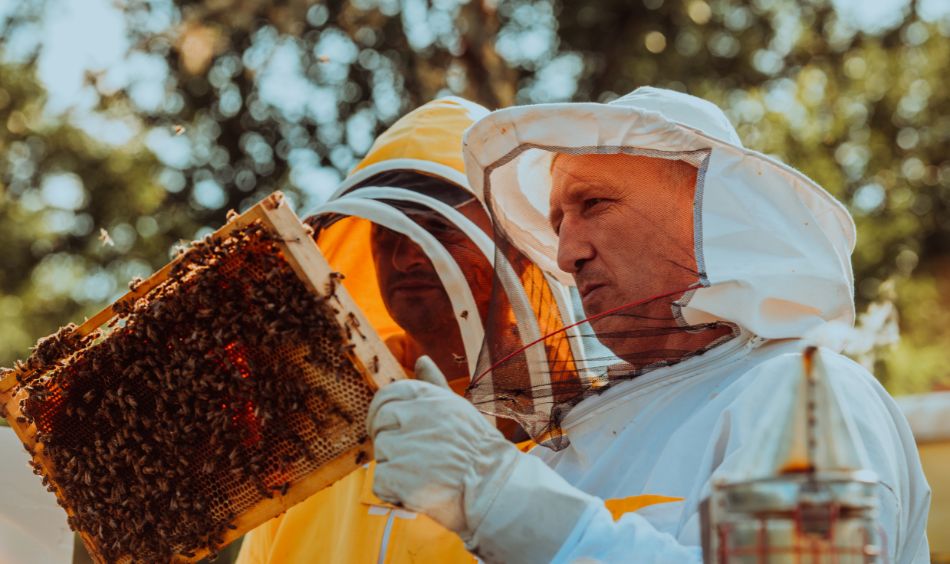 corso apicoltura bologna